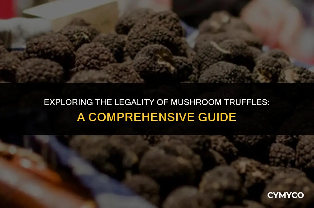 are mushroom truffles legal