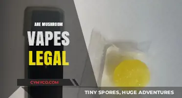 Exploring the Legality of Mushroom Vapes: A Comprehensive Guide