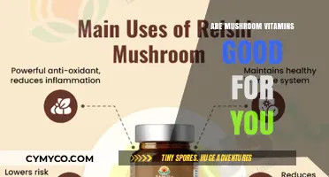 Exploring the Health Benefits of Mushroom Vitamins: A Nutritional Guide