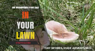 Unveiling the Truth: Mushrooms in Your Lawn - Friend or Foe?