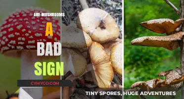 Decoding Nature's Signal: Are Mushrooms a Bad Omen?