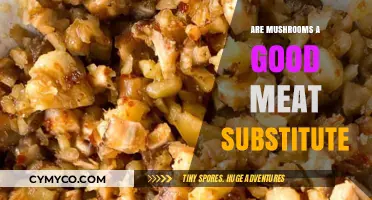 Exploring Mushrooms as a Sustainable Meat Substitute: A Nutritional Comparison
