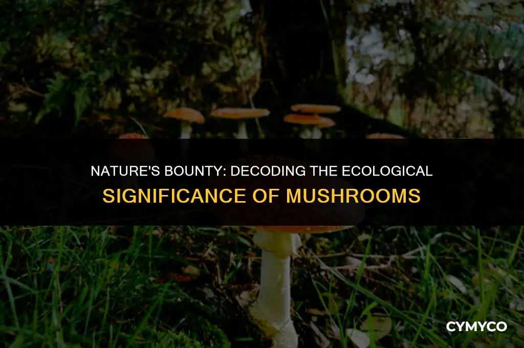 are mushrooms a good sign
