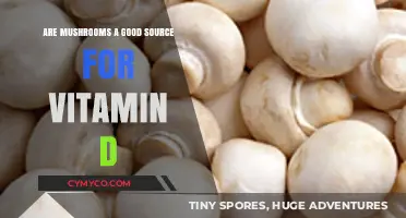 Mushrooms: A Surprising Source of Vitamin D