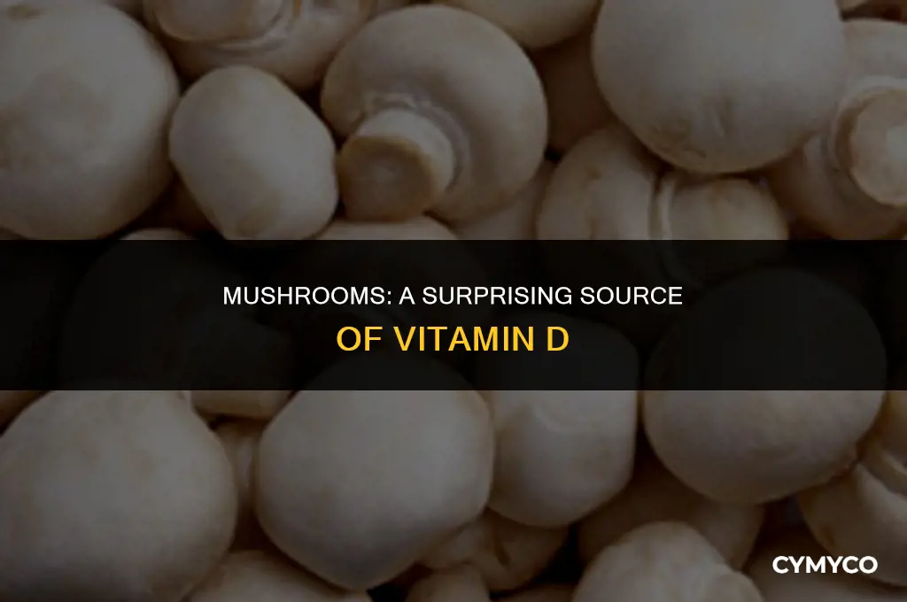 are mushrooms a good source for vitamin d