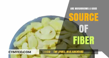 Exploring the Fiber Content: Are Mushrooms a Nutritious Choice?