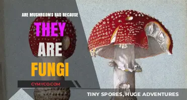 Debunking the Myth: Are Mushrooms Really Bad Because They're Fungi?