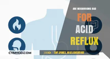 Exploring the Effects of Mushrooms on Acid Reflux: A Comprehensive Guide