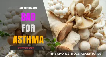 Exploring the Fungal Frontier: Mushrooms and Asthma Unveiled