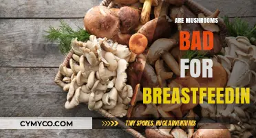 Exploring the Safety of Mushrooms During Breastfeeding: A Comprehensive Guide