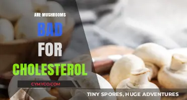Exploring the Impact of Mushrooms on Cholesterol Levels