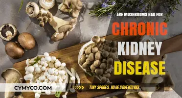 Exploring the Impact of Mushrooms on Chronic Kidney Disease