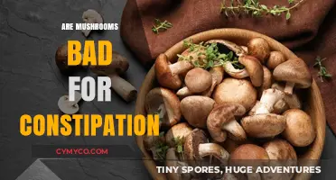 Exploring the Effects of Mushrooms on Constipation: A Comprehensive Guide