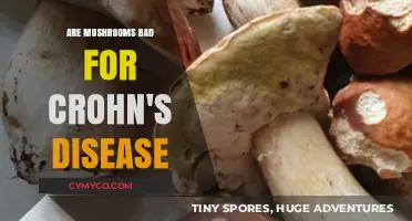 Exploring the Impact of Mushrooms on Crohn's Disease Symptoms