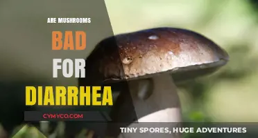 Exploring the Effects of Mushrooms on Digestive Health: A Comprehensive Guide