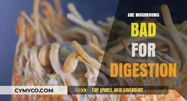 Exploring the Digestive Effects of Mushrooms: A Comprehensive Guide