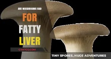 Exploring the Impact of Mushrooms on Fatty Liver Health
