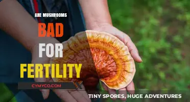 Exploring the Impact of Mushrooms on Fertility: A Comprehensive Guide
