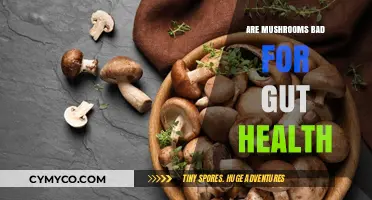 Exploring the Impact of Mushrooms on Gut Health: A Comprehensive Guide
