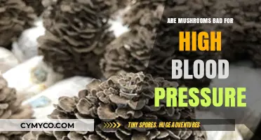Exploring the Link: Mushrooms and High Blood Pressure