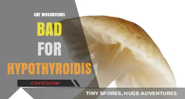 Exploring the Impact of Mushrooms on Hypothyroidism: A Comprehensive Guide