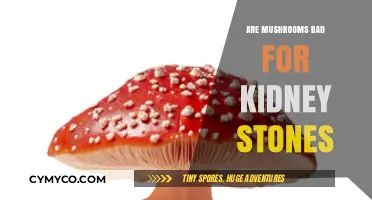 Mushrooms and Kidney Stones: Debunking Myths and Understanding Risks