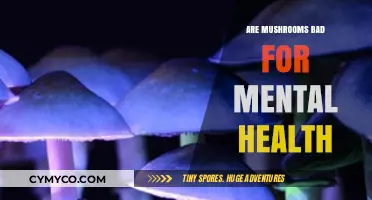 Exploring the Fungal Mind: Are Mushrooms Bad for Mental Health?