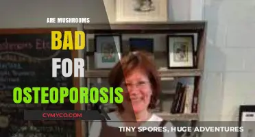 Mushrooms and Osteoporosis: Debunking Common Myths and Misconceptions