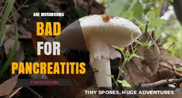 Exploring the Impact of Mushrooms on Pancreatitis: A Comprehensive Guide