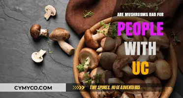 Exploring the Impact of Mushrooms on Ulcerative Colitis Patients