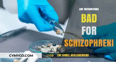 Exploring the Fungal Frontier: Mushrooms and Schizophrenia Unveiled