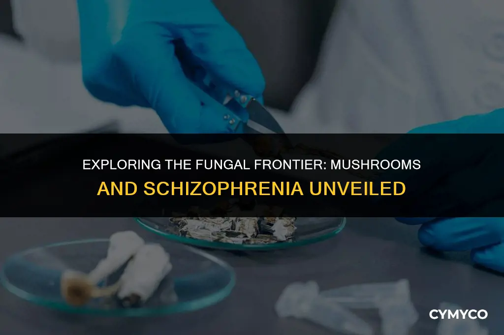 are mushrooms bad for schizophrenia