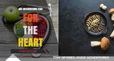 Exploring the Cardiac Effects of Mushrooms: A Comprehensive Guide