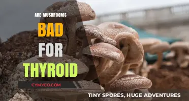 Exploring the Thyroid-Mushroom Connection: A Comprehensive Guide