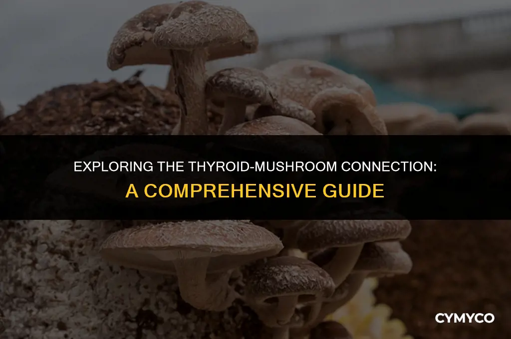 are mushrooms bad for thyroid