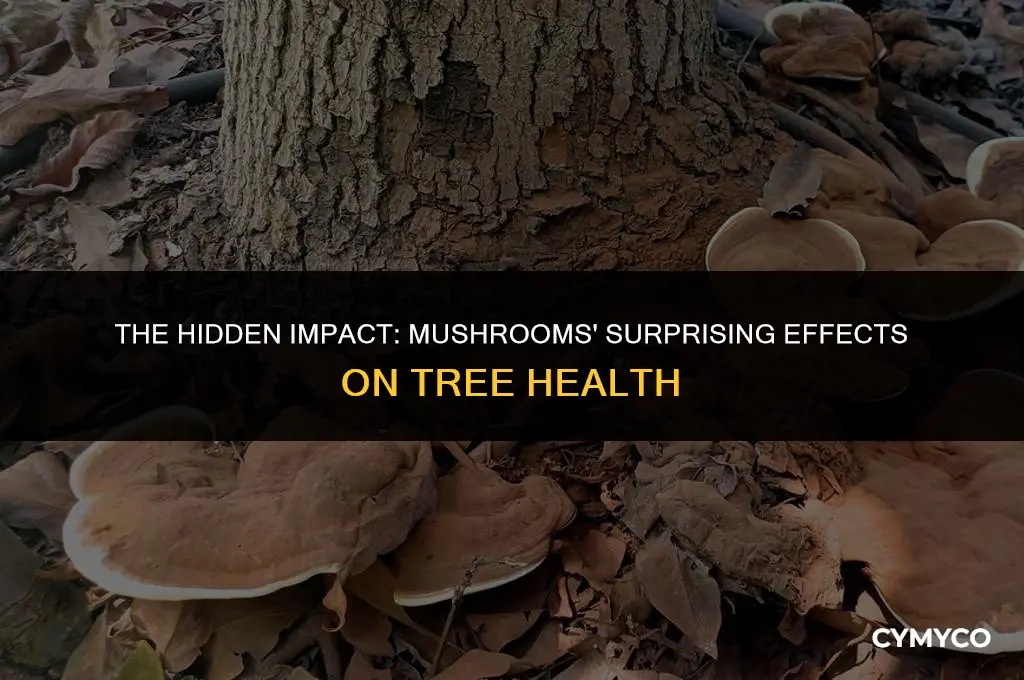 are mushrooms bad for trees