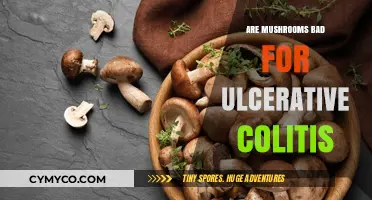 Exploring the Impact of Mushrooms on Ulcerative Colitis Symptoms