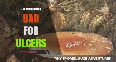 Exploring the Myth: Are Mushrooms Really Bad for Ulcers?