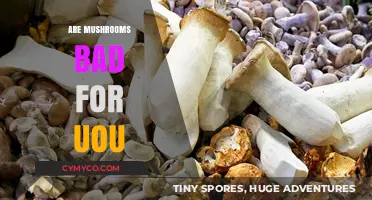 Exploring the Health Effects of Mushrooms: A Comprehensive Guide