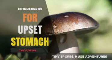 Mushrooms and Digestive Health: Debunking Common Myths