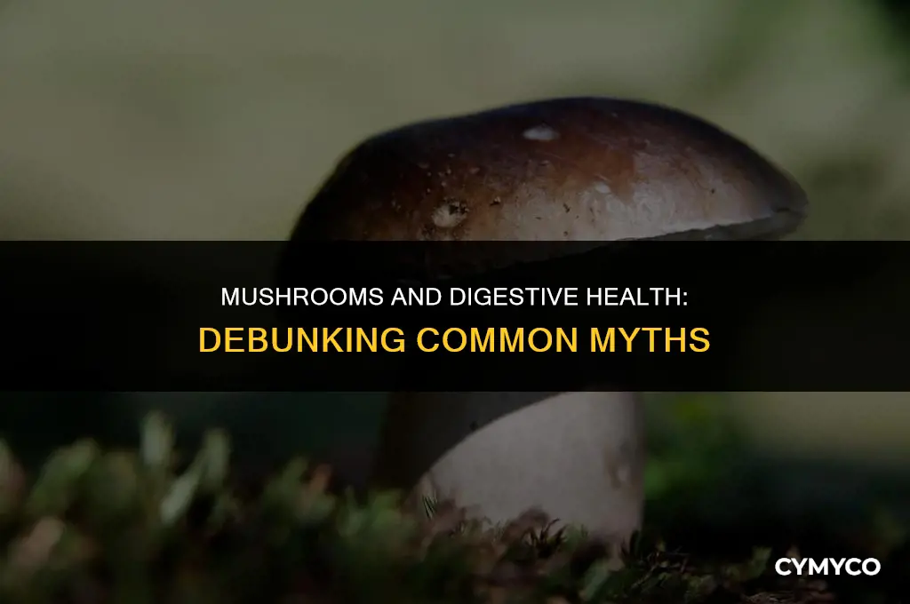 are mushrooms bad for upset stomach