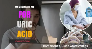 Exploring the Impact of Mushrooms on Uric Acid Levels