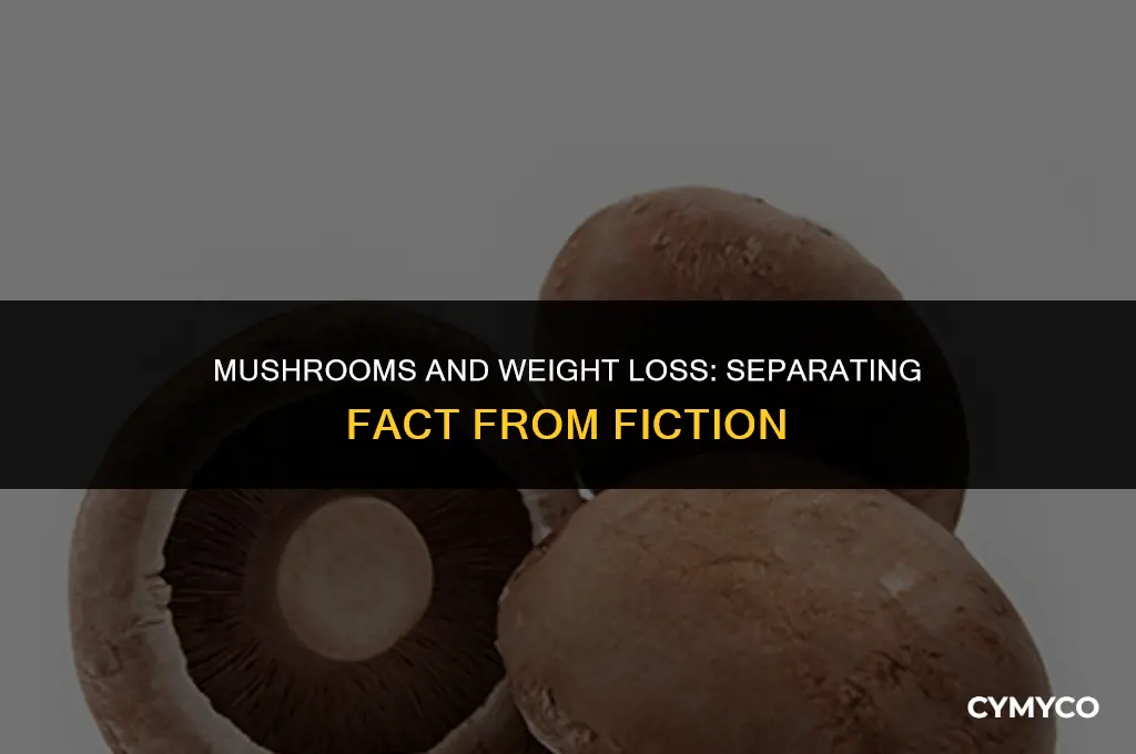 are mushrooms bad for weight loss