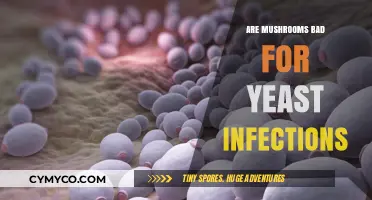 Exploring the Link: Mushrooms and Yeast Infections - A Comprehensive Guide