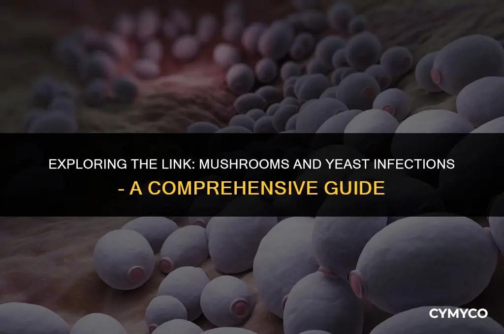 are mushrooms bad for yeast infections