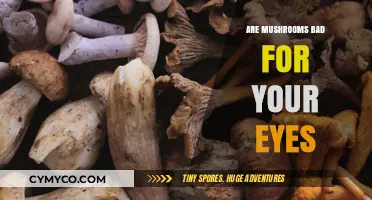 Exploring the Myth: Do Mushrooms Really Harm Your Eyes?