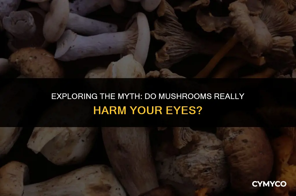 are mushrooms bad for your eyes