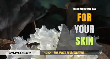 Unveiling the Truth: Mushrooms and Their Impact on Skin Health