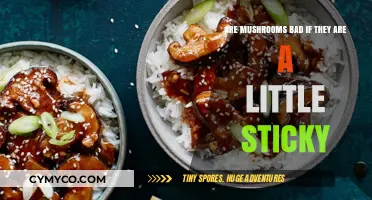 Exploring the Edibility of Slightly Sticky Mushrooms: A Guide