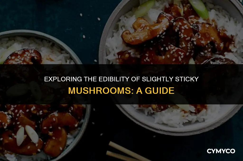 are mushrooms bad if they are a little sticky